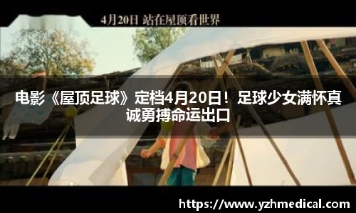 金年会ETF融资榜 | 游戏ETF(159869)融资净买入731.78万元，居可比基金第一-20251104